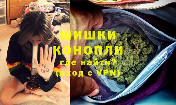 метадон Осташков