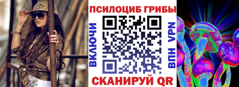 Галлюциногенные грибы GOLDEN TEACHER купить наркотики сайты Алагир